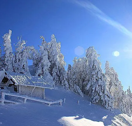 Lejlighed Haus Mariandl