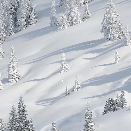 Haus Mariandl ヴェステンドルフ