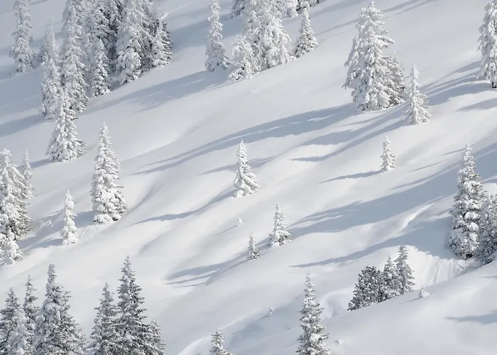 马拉德公寓 韦斯滕多夫